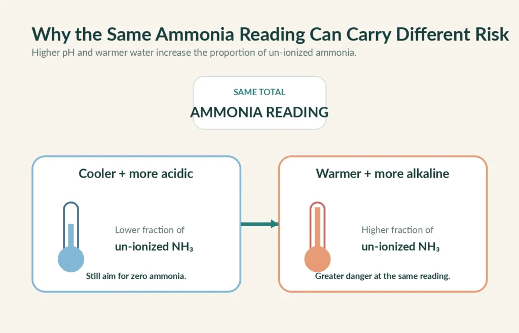 Infographic showing ammonia is more dangerous in warmer higher pH aquarium water
