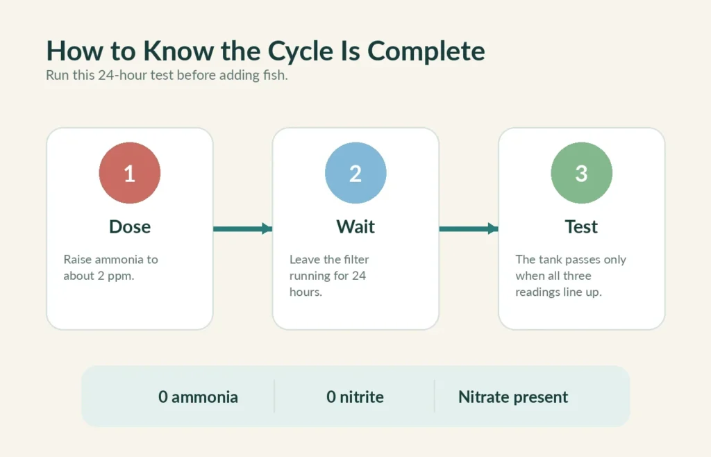 Aquarium cycle completion test showing 2 ppm ammonia processed in 24 hours to zero ammonia and zero nitrite