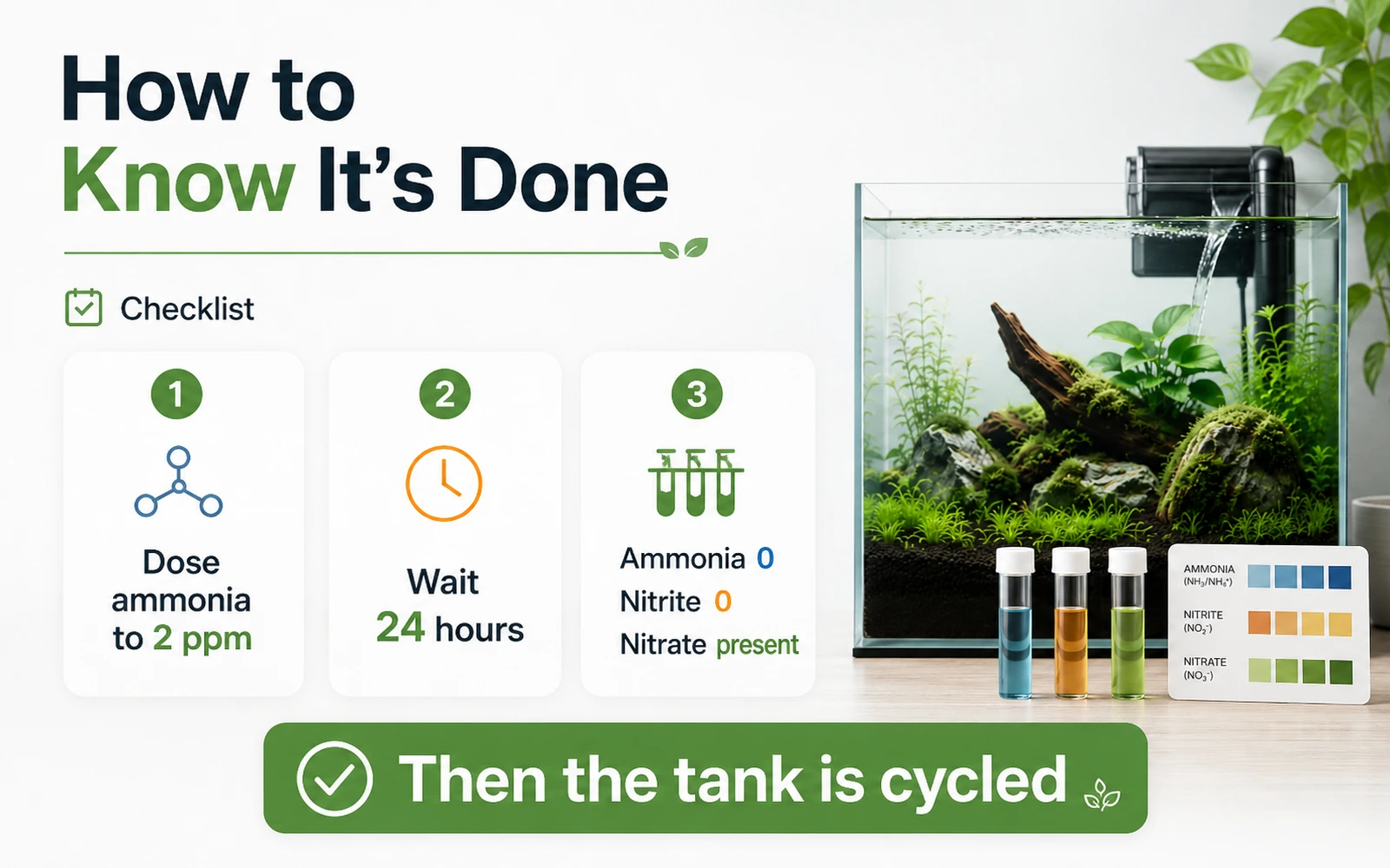 Three-step aquarium completion test showing two ppm ammonia followed by zero ammonia zero nitrite and nitrate present after twenty-four hours
