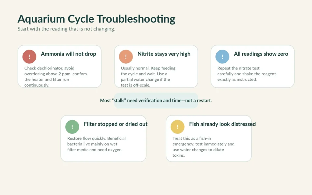 Troubleshooting guide for aquarium cycling problems with ammonia nitrite nitrate filter and distressed fish