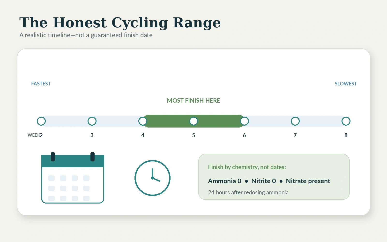 Timeline highlighting a common four to six week aquarium cycle within a wider two to eight week range