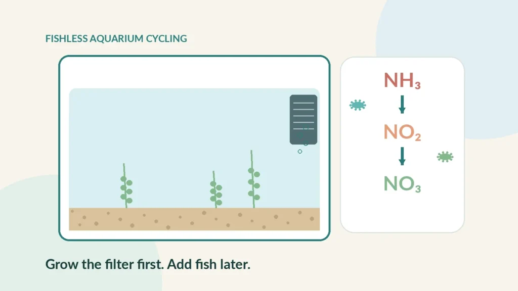 Empty freshwater aquarium cycling as ammonia changes to nitrite and nitrate