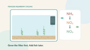 Empty freshwater aquarium cycling as ammonia changes to nitrite and nitrate