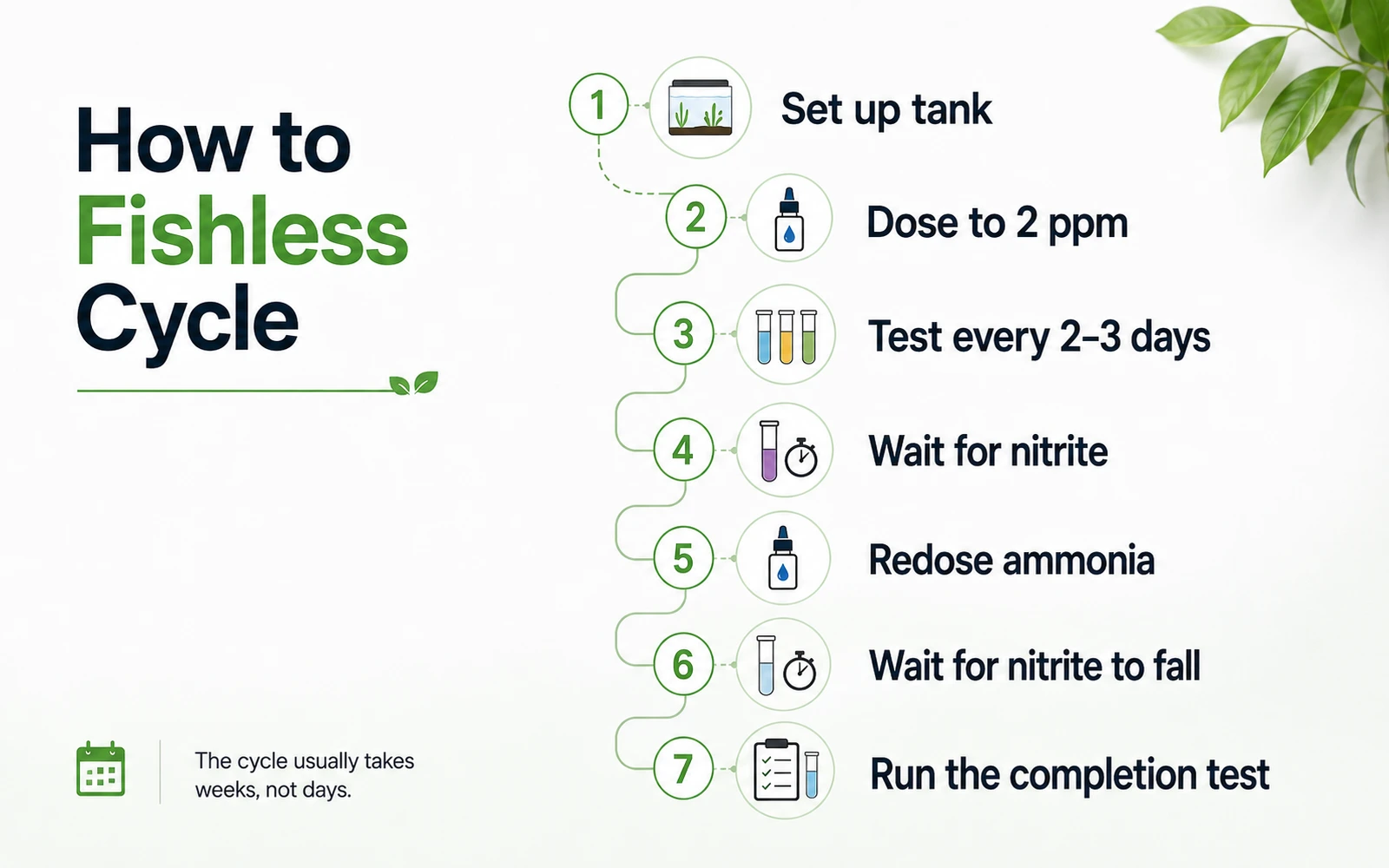 Seven-step fishless aquarium cycling process from setting up the tank to the completion test