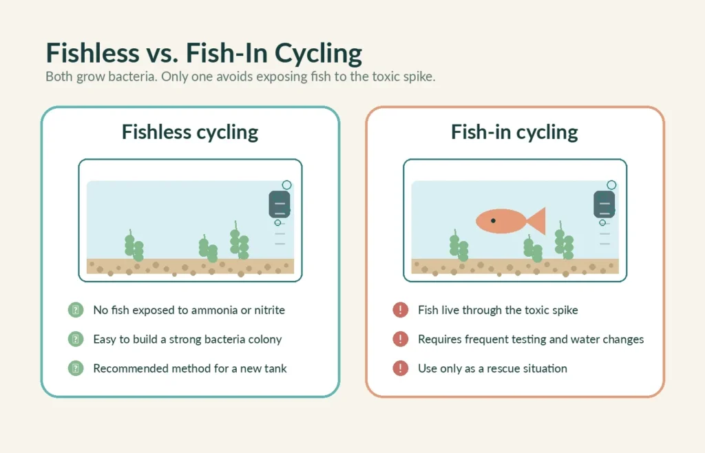 Comparison of fishless aquarium cycling and fish-in cycling