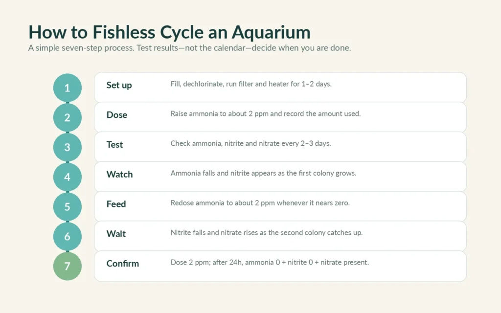 Seven steps for fishless cycling a new aquarium from setup to the completion test