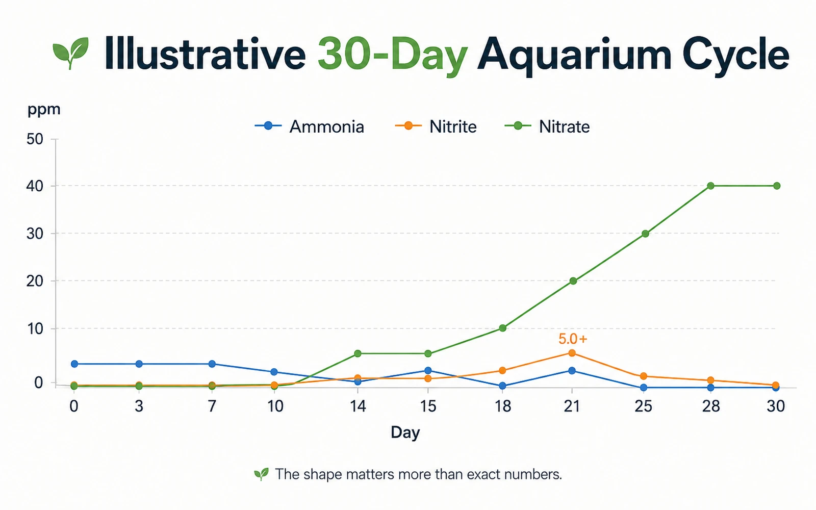 Line chart showing ammonia nitrite and nitrate during an illustrative thirty-day aquarium cycle
