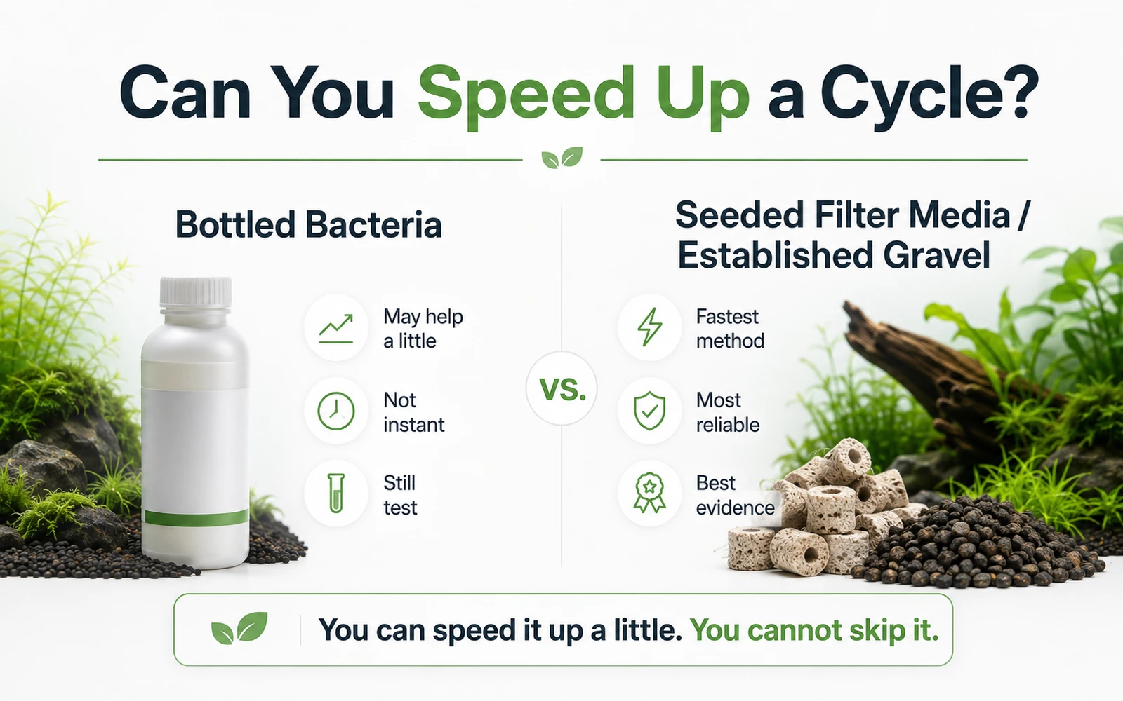 Comparison of bottled bacteria with seeded filter media and established aquarium gravel