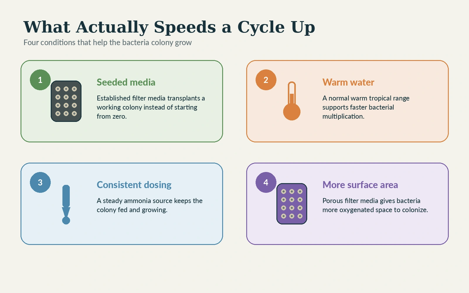 Four illustrated factors that speed aquarium cycling including seeded media warm water steady dosing and more filter media