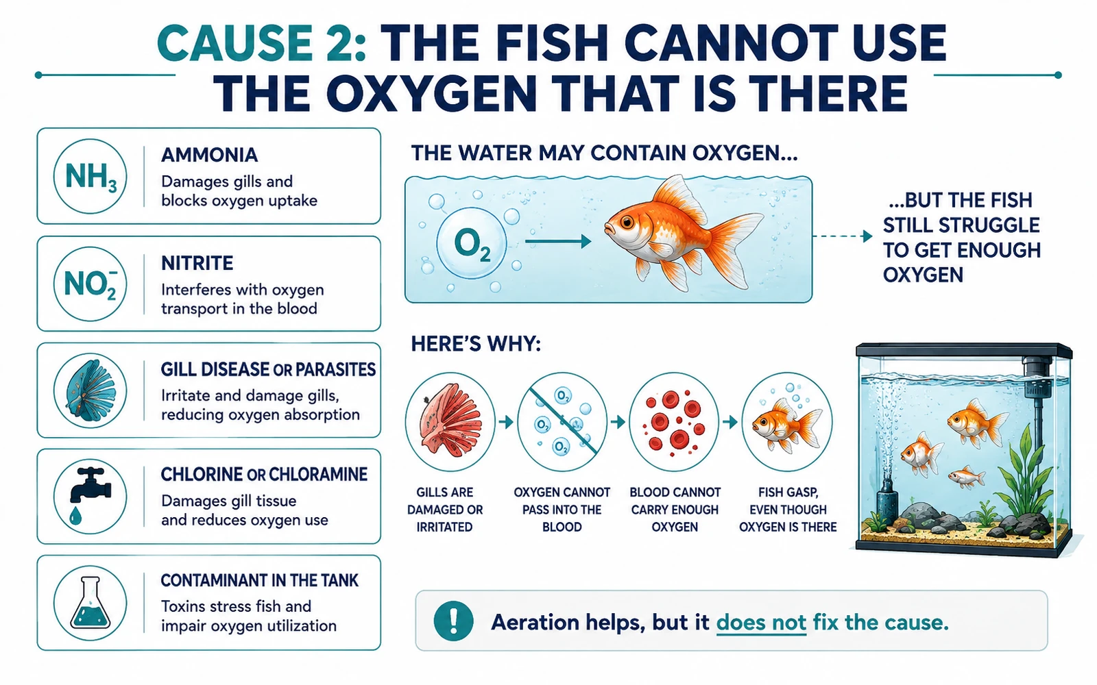 Infographic showing causes that prevent fish from using the oxygen in the water.