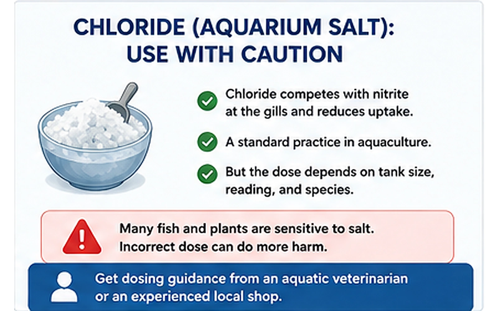 Aquarium salt and nitrite infographic explaining that chloride can reduce nitrite uptake but dosing depends on tank and species