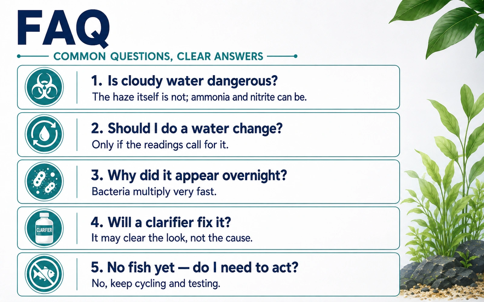 FAQ infographic with quick answers about cloudy aquarium water in a new tank.