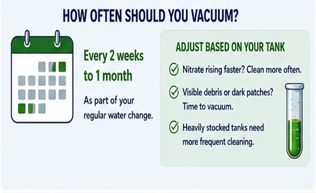Aquarium gravel vacuum schedule showing every two weeks to one month
