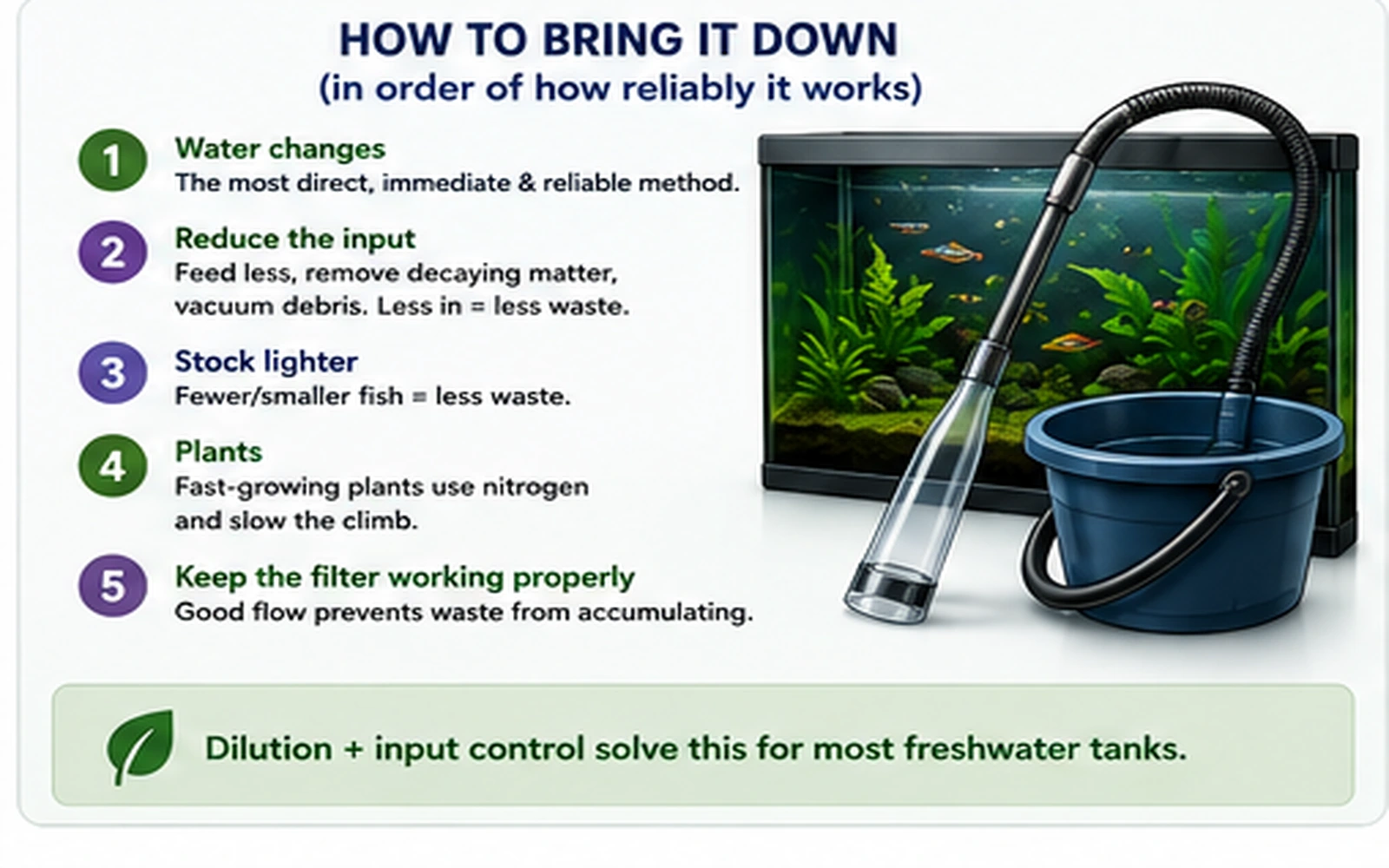 Aquarium nitrate reduction checklist with water changes, lower waste input, lighter stocking, plants and filter maintenance