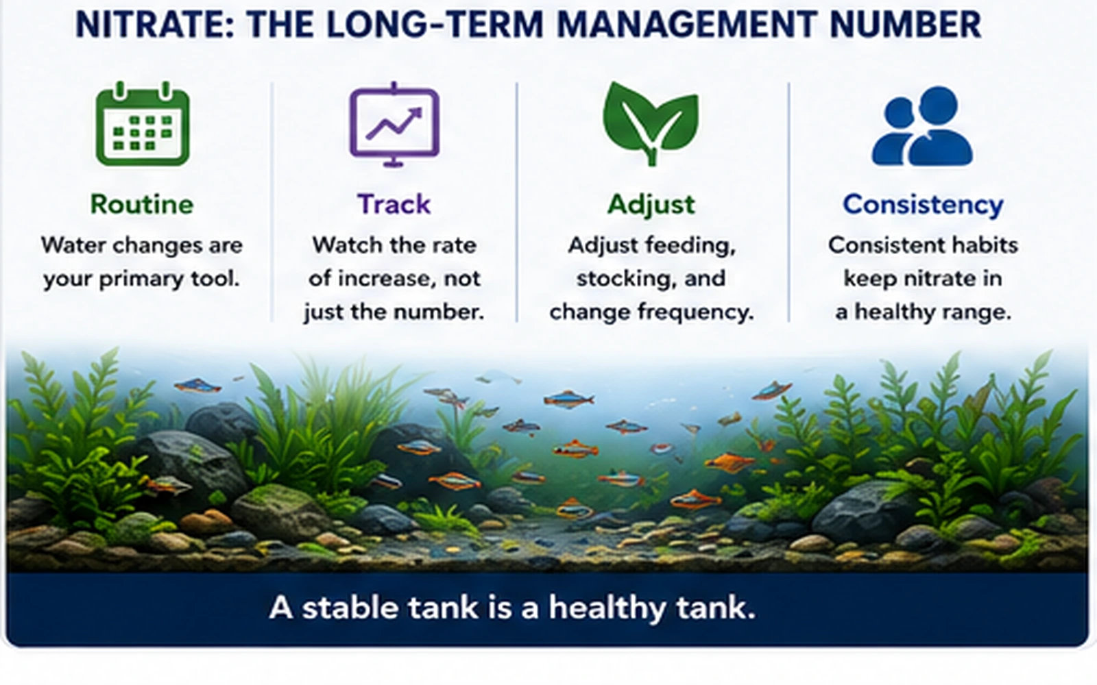 Aquarium nitrate management infographic showing routine, trend tracking, input adjustment and consistency