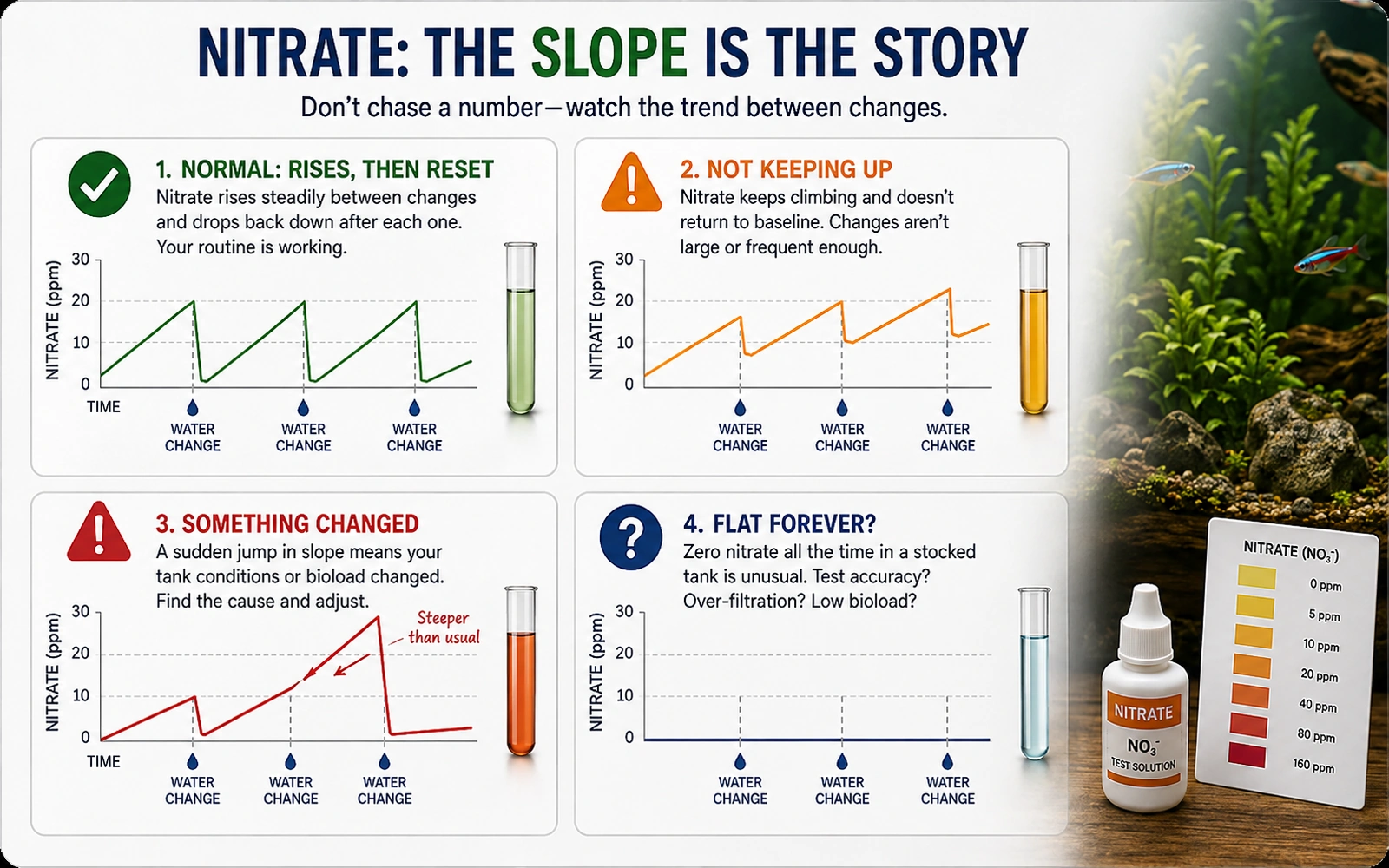 Infographic showing four common nitrate trend patterns in an aquarium.