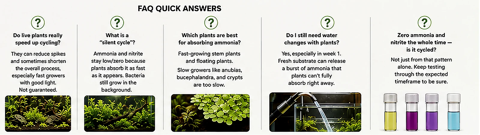 Quick answers about live plants silent cycling ammonia absorption water changes and zero test readings