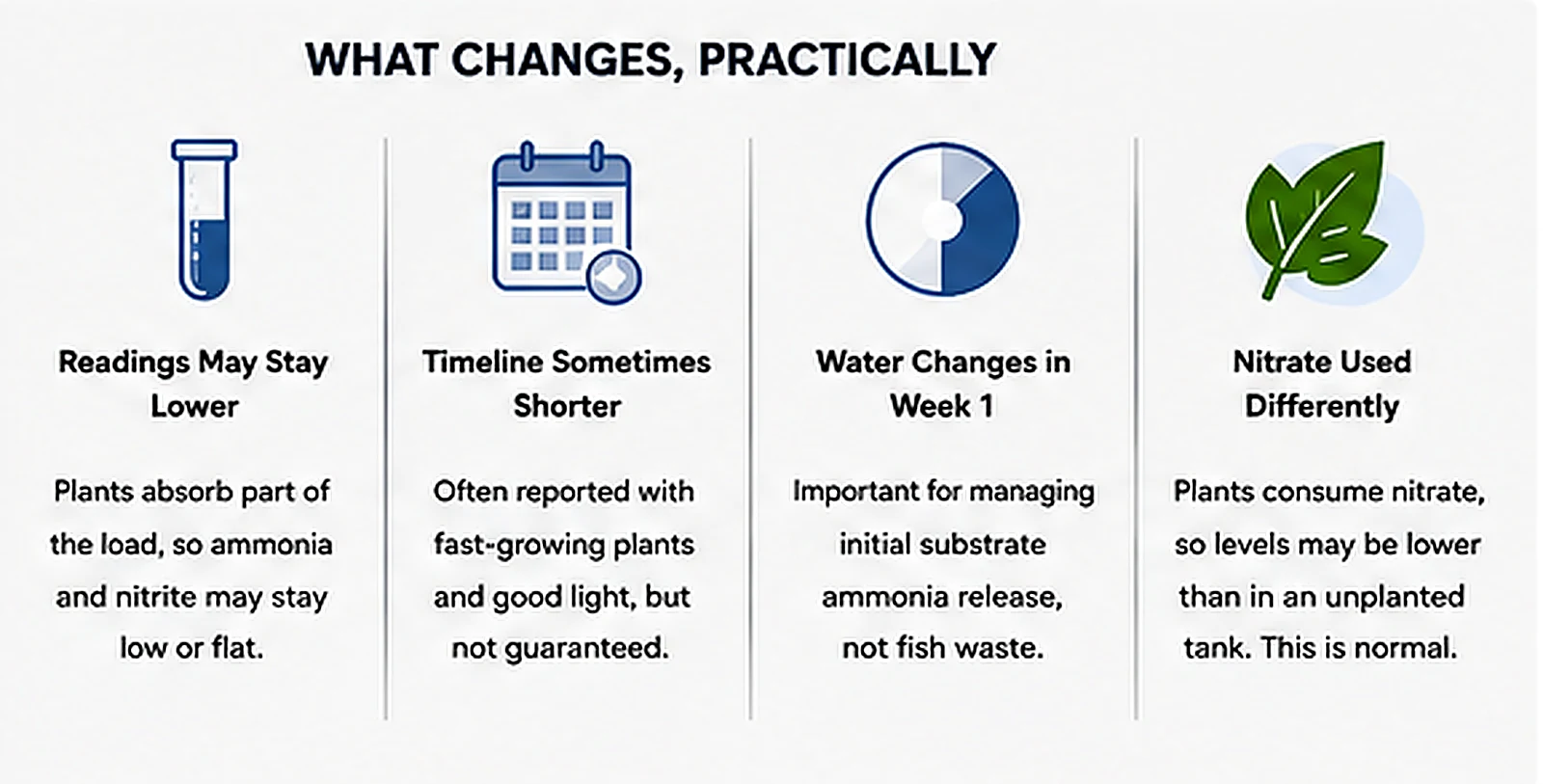 Four practical effects of plants on aquarium cycling including lower readings shorter timelines early water changes and nitrate uptake