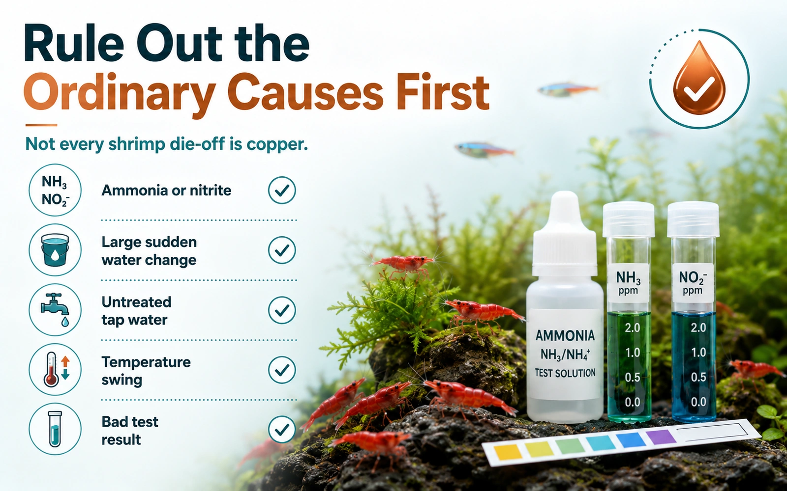 Infographic showing ordinary causes to rule out before blaming copper, including ammonia, nitrite, sudden water change, untreated tap water, temperature swings, and suspect test results.