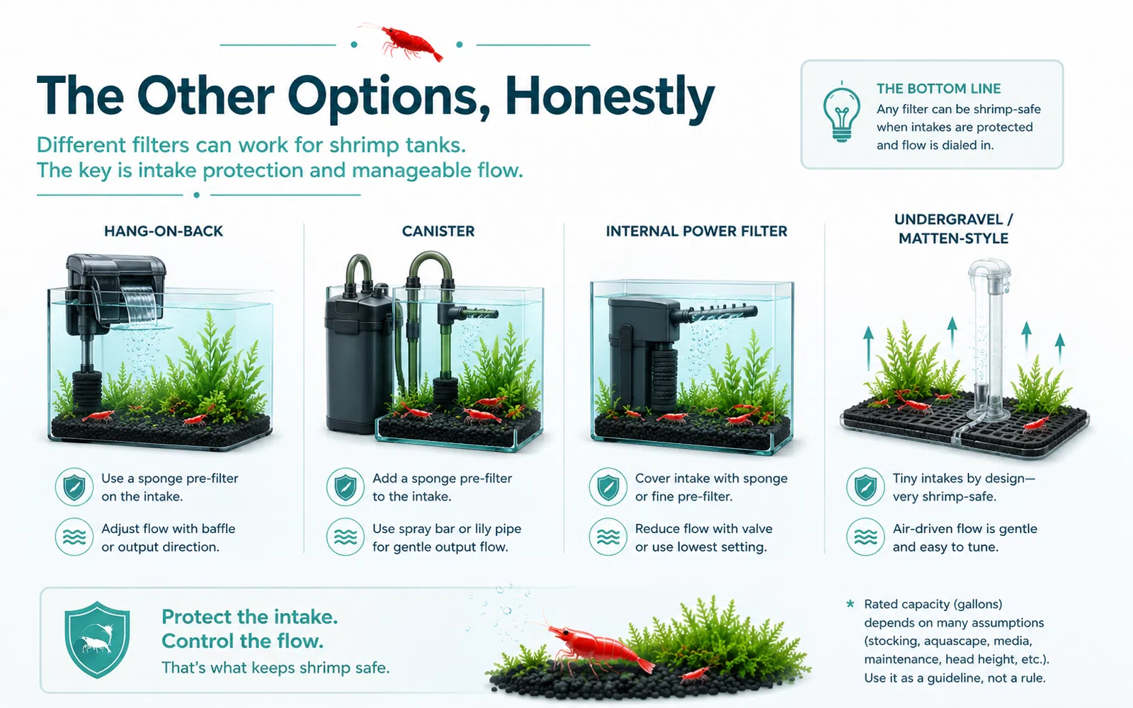 Minimalist aquarium infographic comparing hang-on-back, canister, internal power, and undergravel or matten-style filters for shrimp tanks.