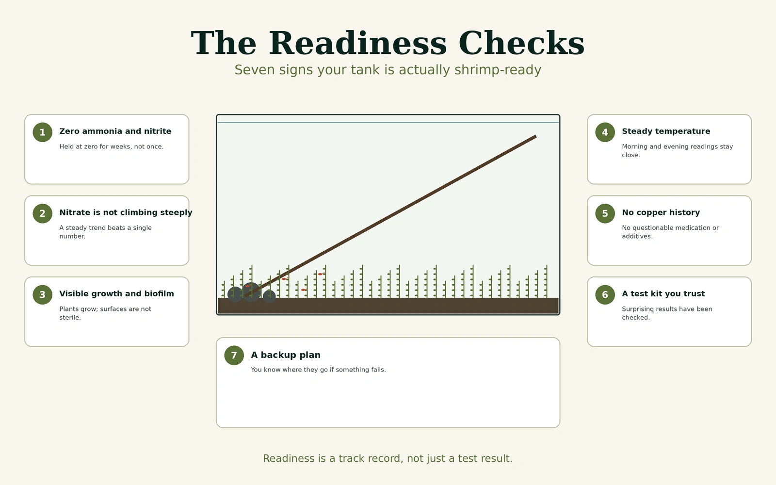 Seven-point shrimp-readiness infographic covering stable water readings, visible growth, steady temperature, copper history, trusted testing, and a backup plan.