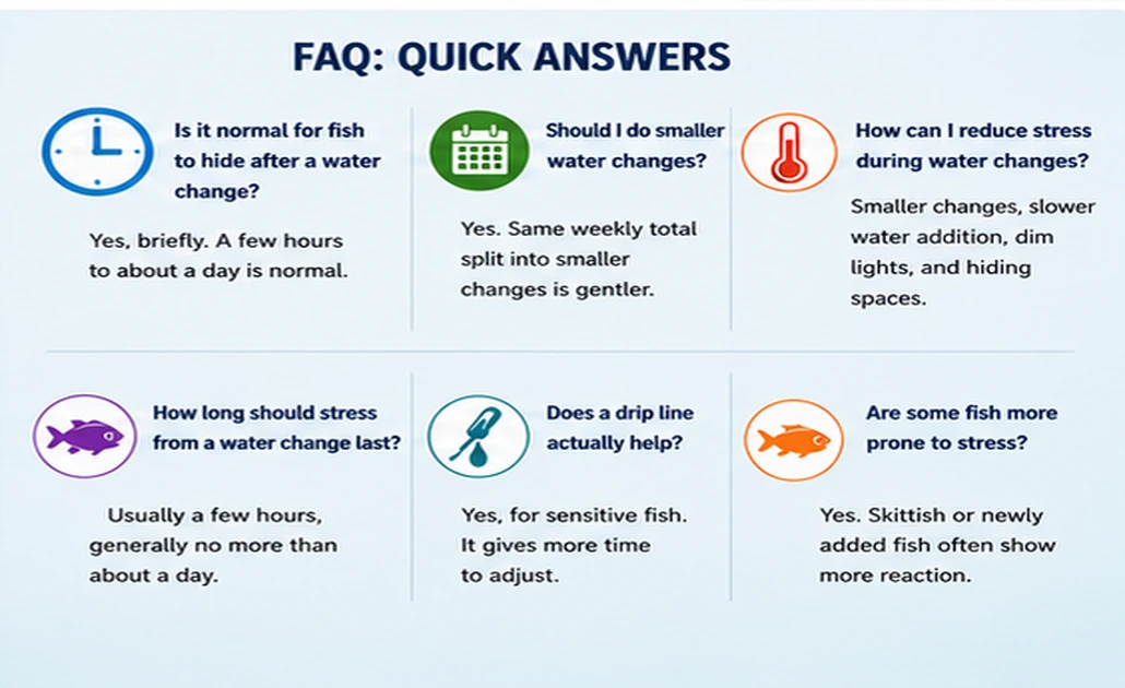 Quick answers about fish hiding, smaller water changes, drip lines, sensitive fish, and how long water-change stress should last