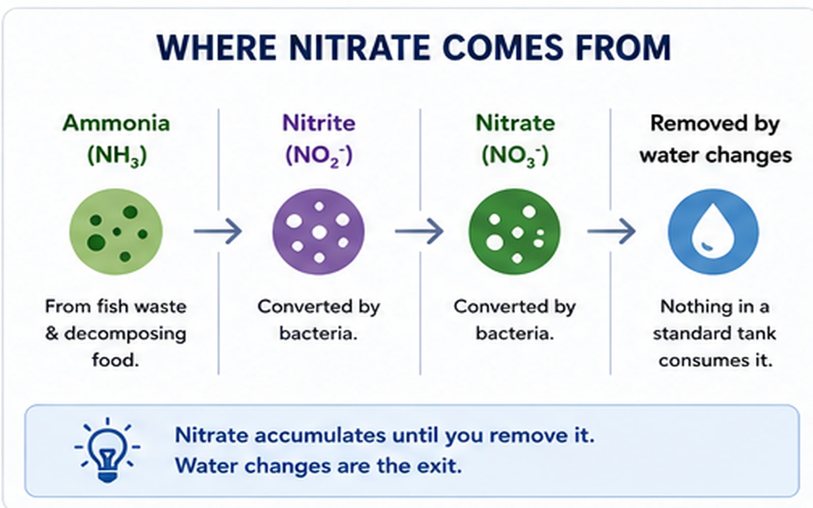 Aquarium nitrogen chain showing ammonia converted to nitrite then nitrate and removed by water changes