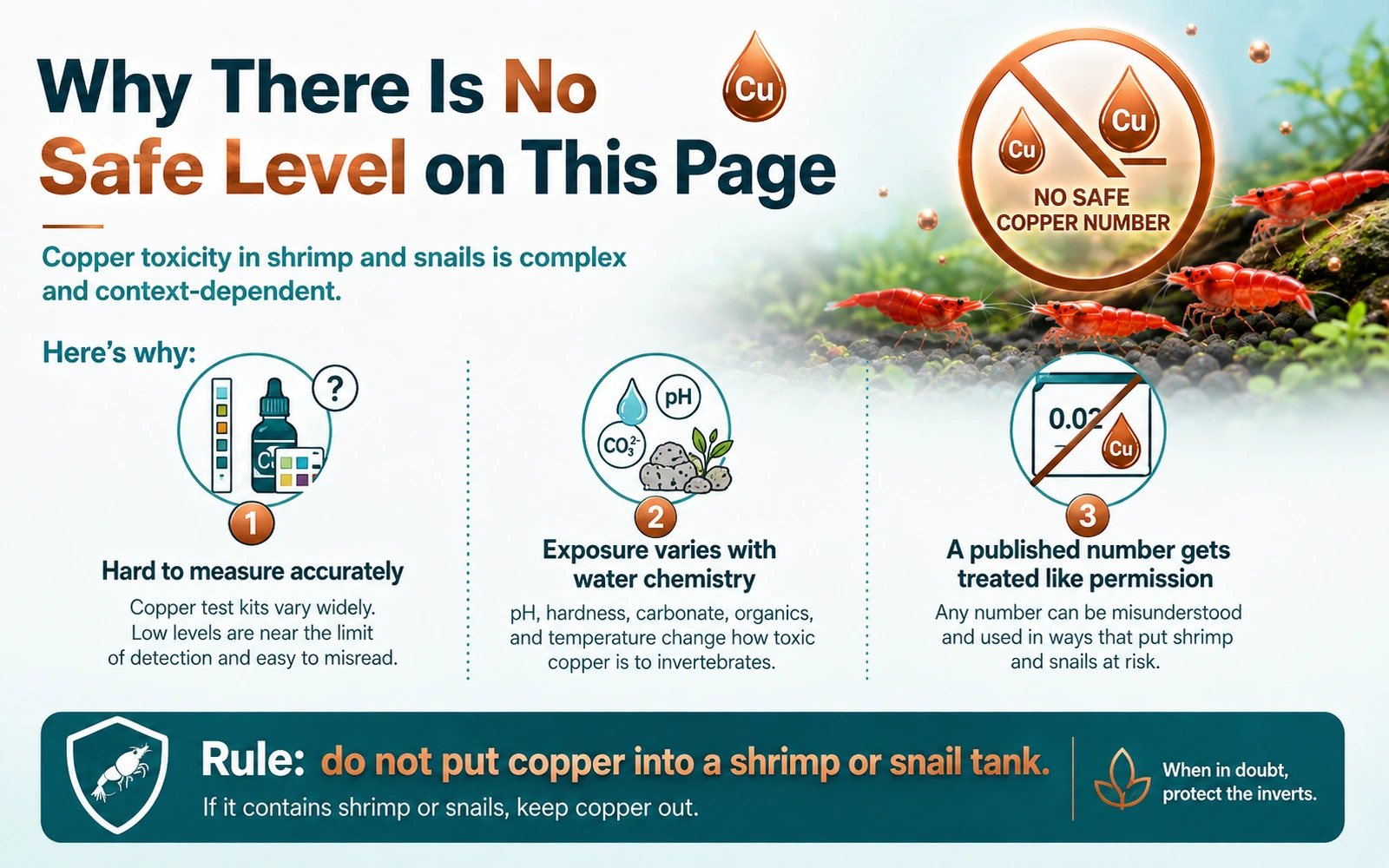 Infographic explaining why the page does not publish a safe copper level for shrimp and snails.