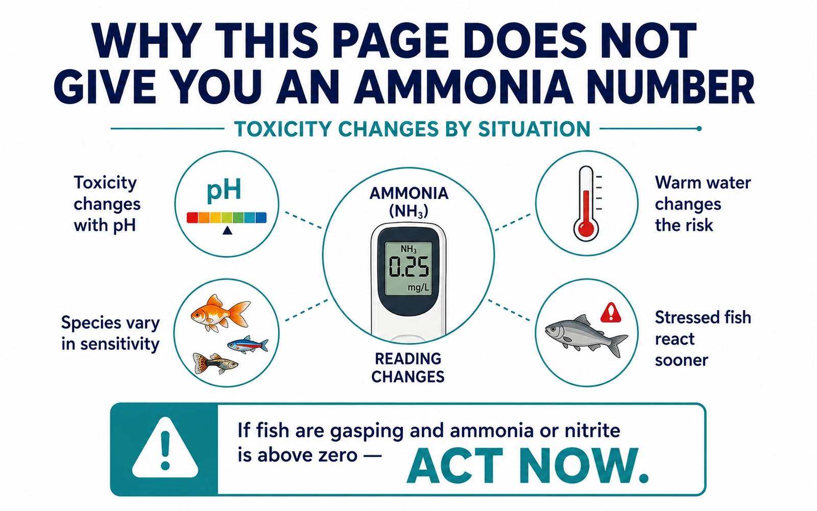 Infographic explaining why ammonia toxicity depends on context rather than a single number.