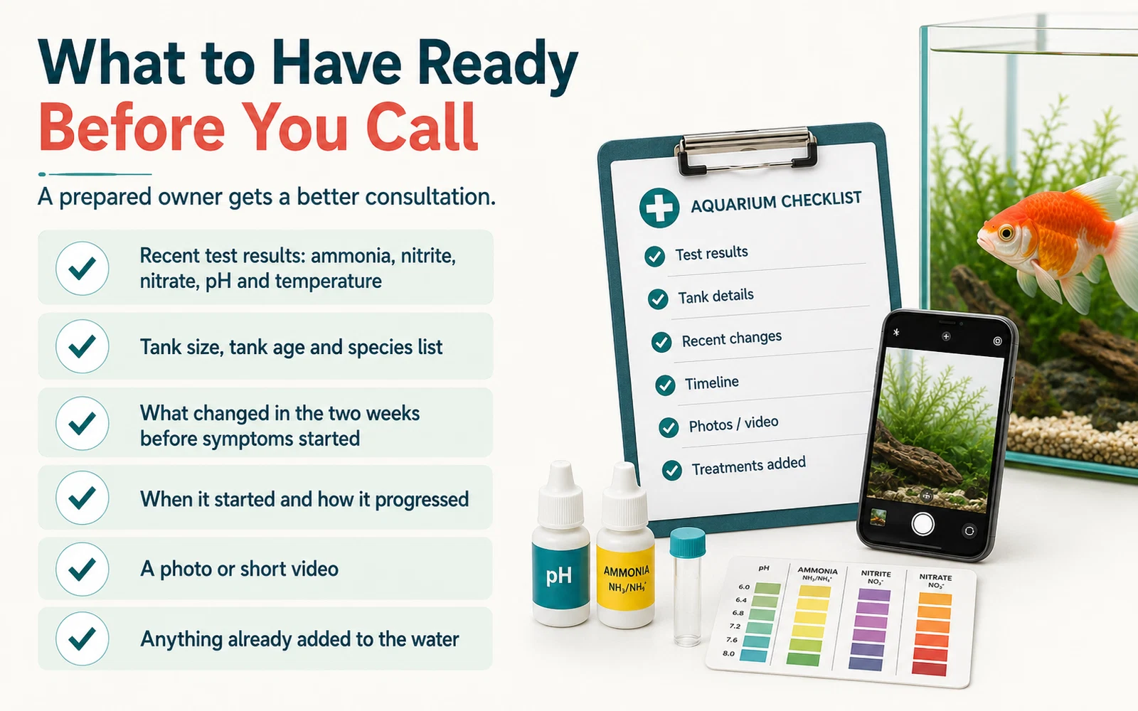 Infographic listing the aquarium history, water test results, stocking details and photos to prepare before contacting a fish veterinarian.